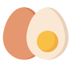 계란 영양 성분