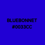 Bluebonnet 보넷 블루