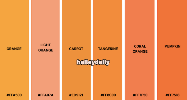 주황색 예쁜 색상 표